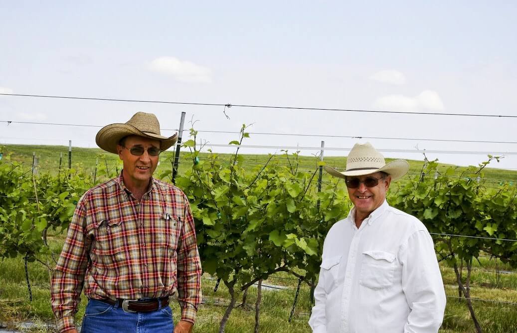Two owners of Niobrara Valley Vineyards standing in front of grape vines