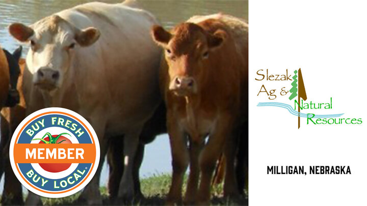 Slezak Spotlight Photo